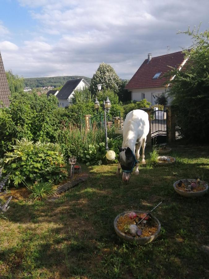 דירות Illfurth Chez Olivier Et Josette Sur Mulhouse Sud מראה חיצוני תמונה