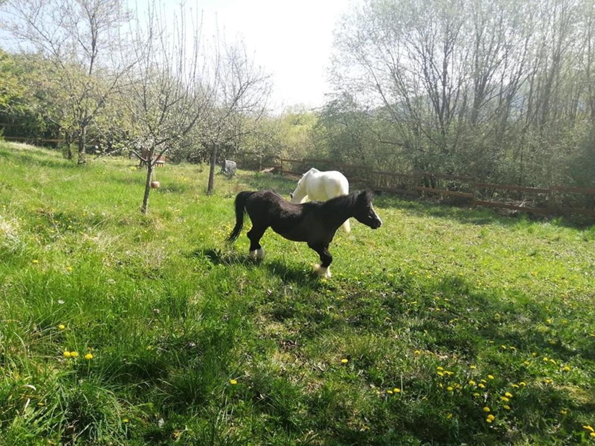 דירות Illfurth Chez Olivier Et Josette Sur Mulhouse Sud מראה חיצוני תמונה