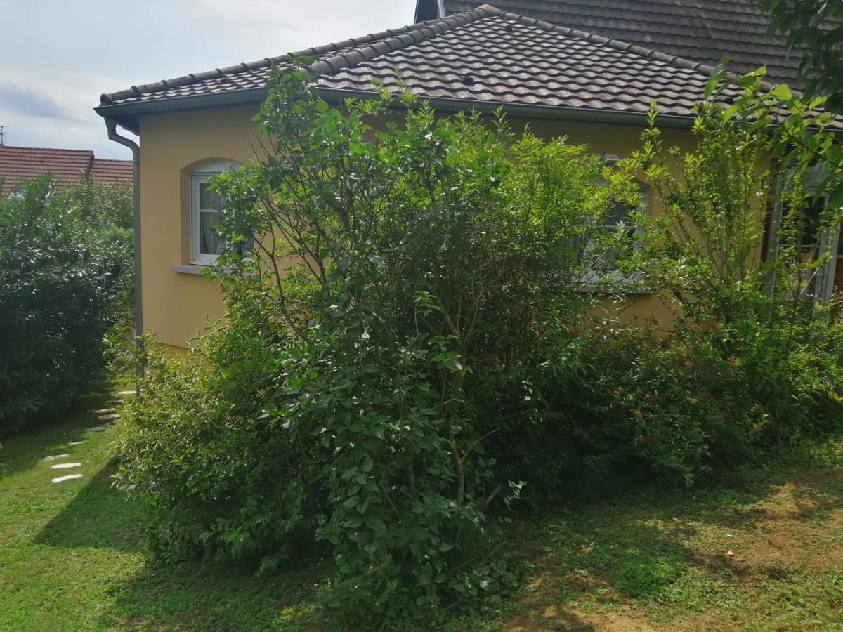 דירות Illfurth Chez Olivier Et Josette Sur Mulhouse Sud מראה חיצוני תמונה